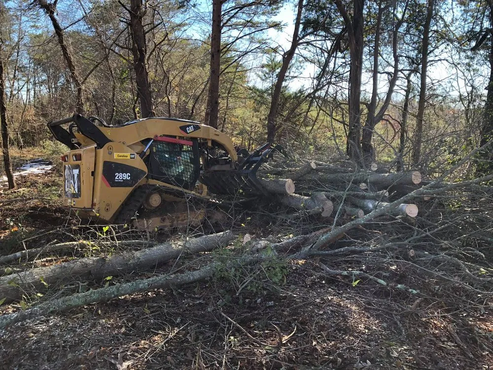 Trusted landscape installation in Shelby, NC - TeamEdit Landscaping And Tree Service