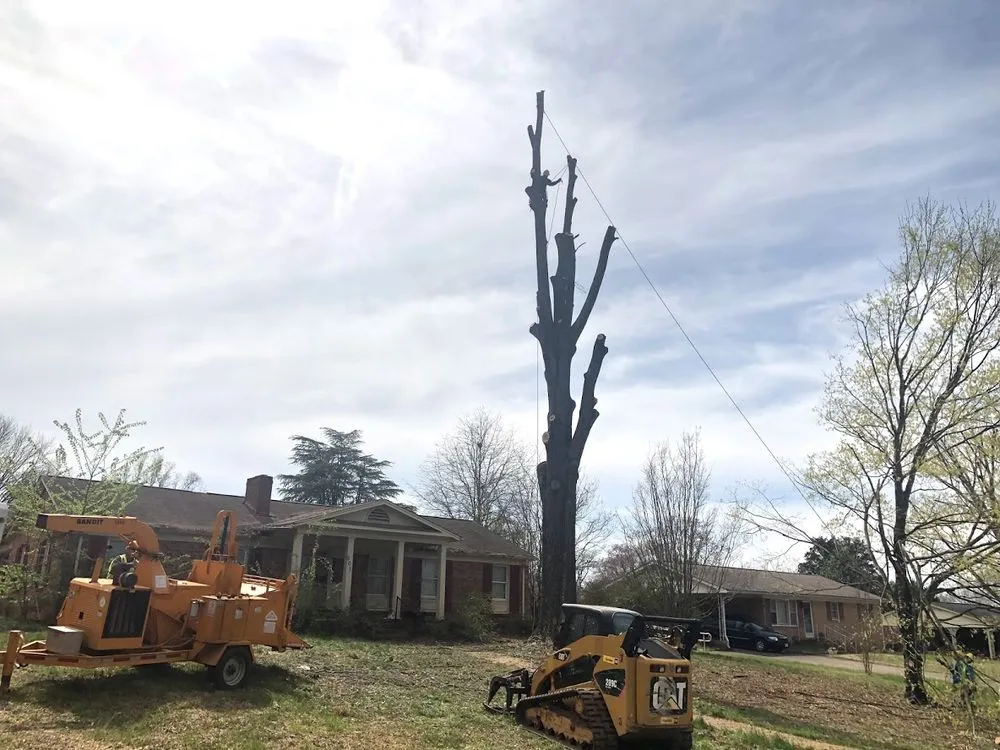 Reliable lawn care service with custom design across Shelby, NC - TeamEdit Landscaping And Tree Service