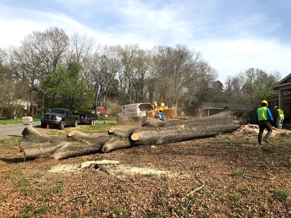 Reliable landscaping services in Shelby, NC - TeamEdit Landscaping And Tree Service