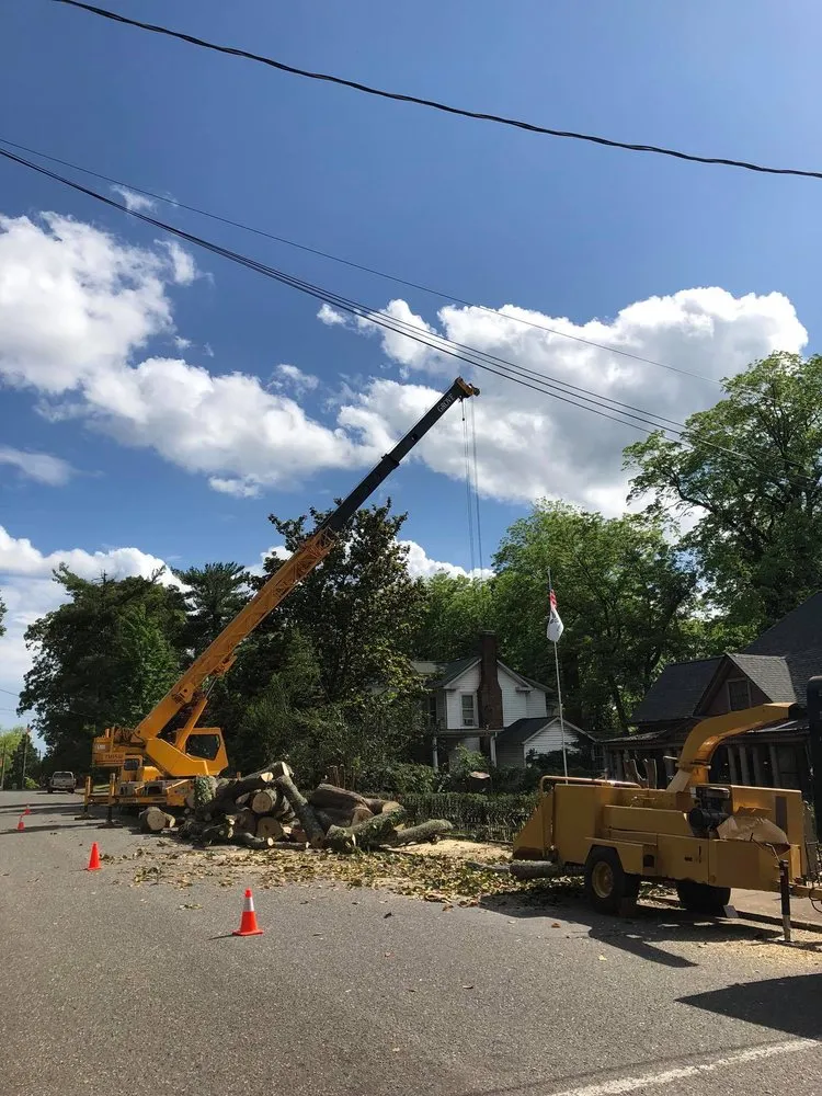 Custom garden landscaping in Shelby, NC by TeamEdit Landscaping And Tree Service