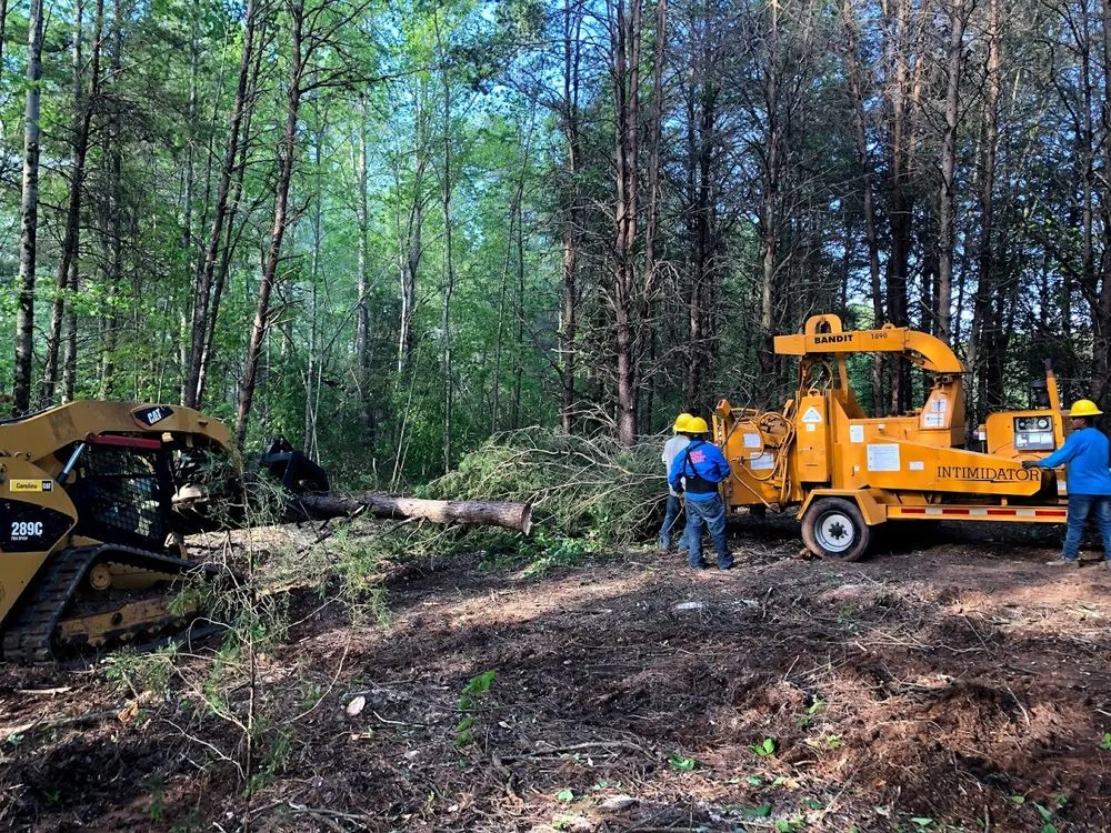 Local garden landscaping in Shelby, NC by TeamEdit Landscaping And Tree Service