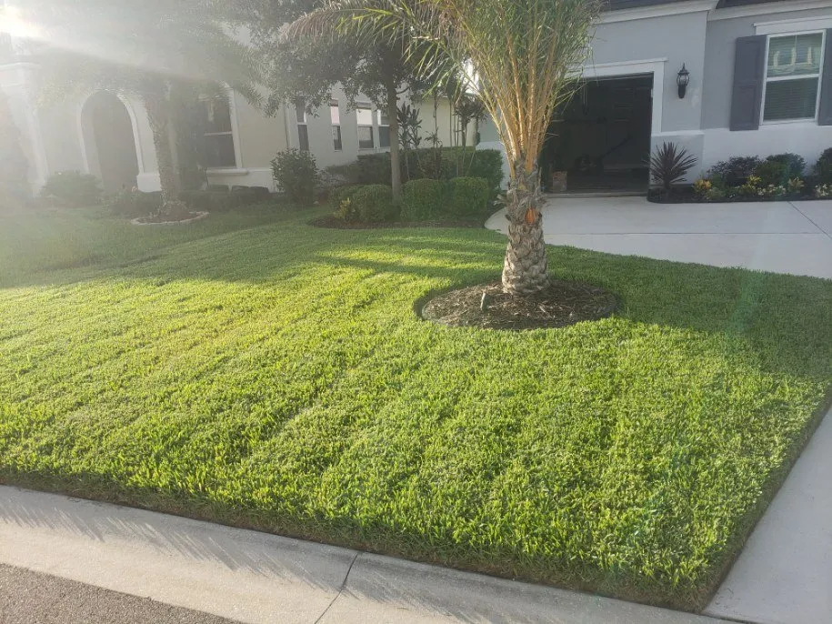 Top-rated lawn care service in Jacksonville, FL by TEAMMZ Lawns & Beyond