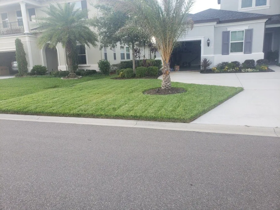 Trusted yard cleanup service in Jacksonville, FL - TEAMMZ Lawns & Beyond