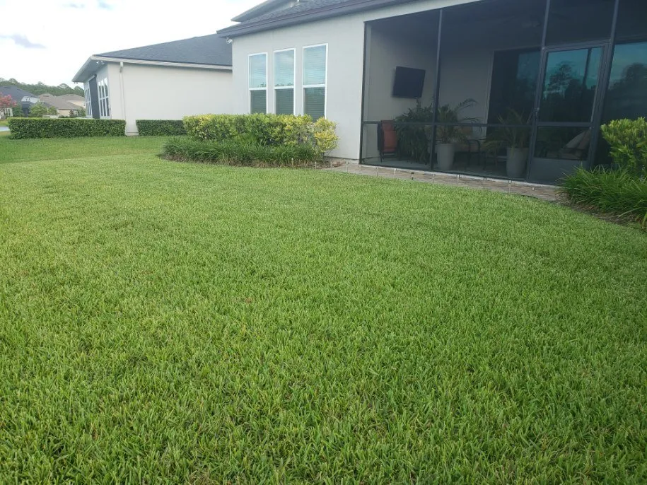 Local landscaping services for outdoor upgrades in Jacksonville, FL by TEAMMZ Lawns & Beyond