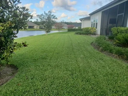 TEAMMZ Lawns & Beyond Logo