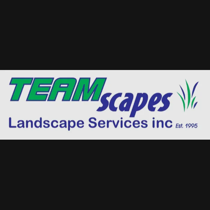 Affordable lawn mowing service experts serving Atlanta, GA - Teamscapes Landscape Services