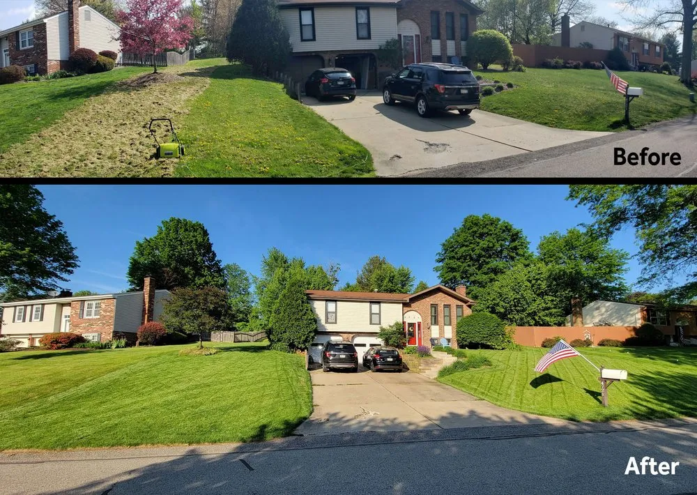Professional landscaping services experts serving Moon Township, PA - TeamTurf