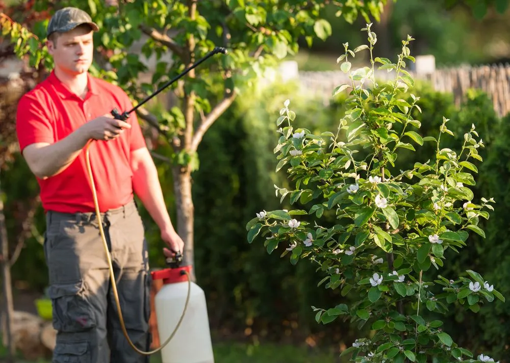 Custom lawn care service for residential properties in Moon Township, PA by TeamTurf