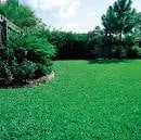 Reliable landscape installation experts serving Waterford, PA - TeamTurf