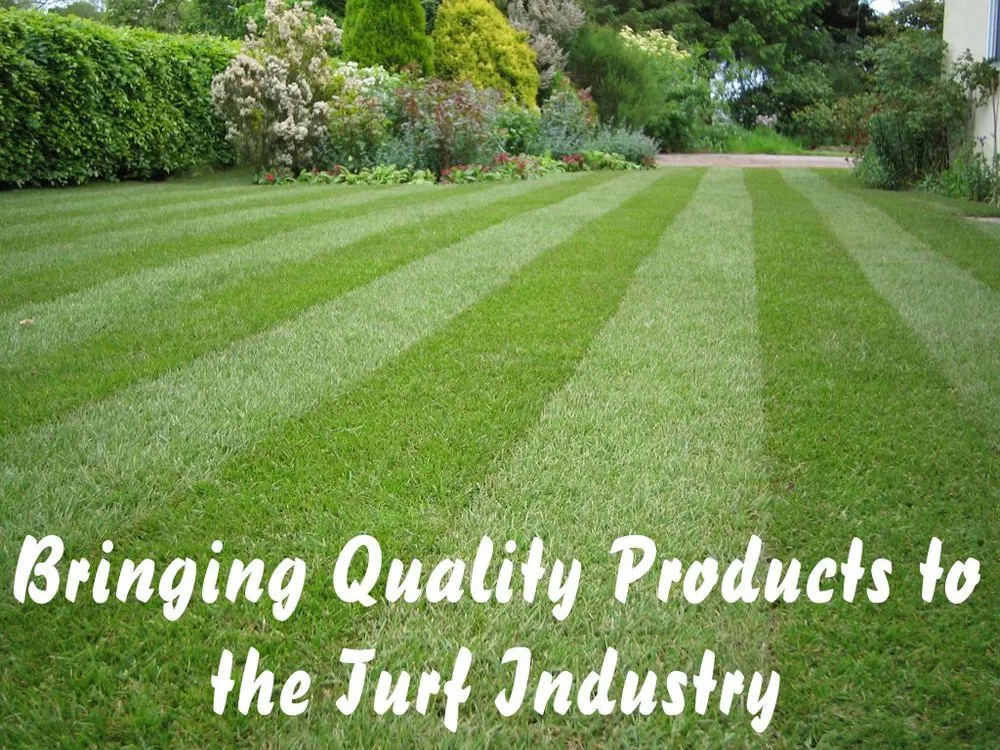 Expert yard cleanup service for beautiful yards across Waterford, PA - TeamTurf