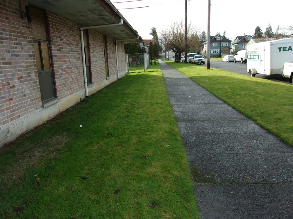 Top-rated yard cleanup service in Hoquiam, WA by Tea's Landscaping Service