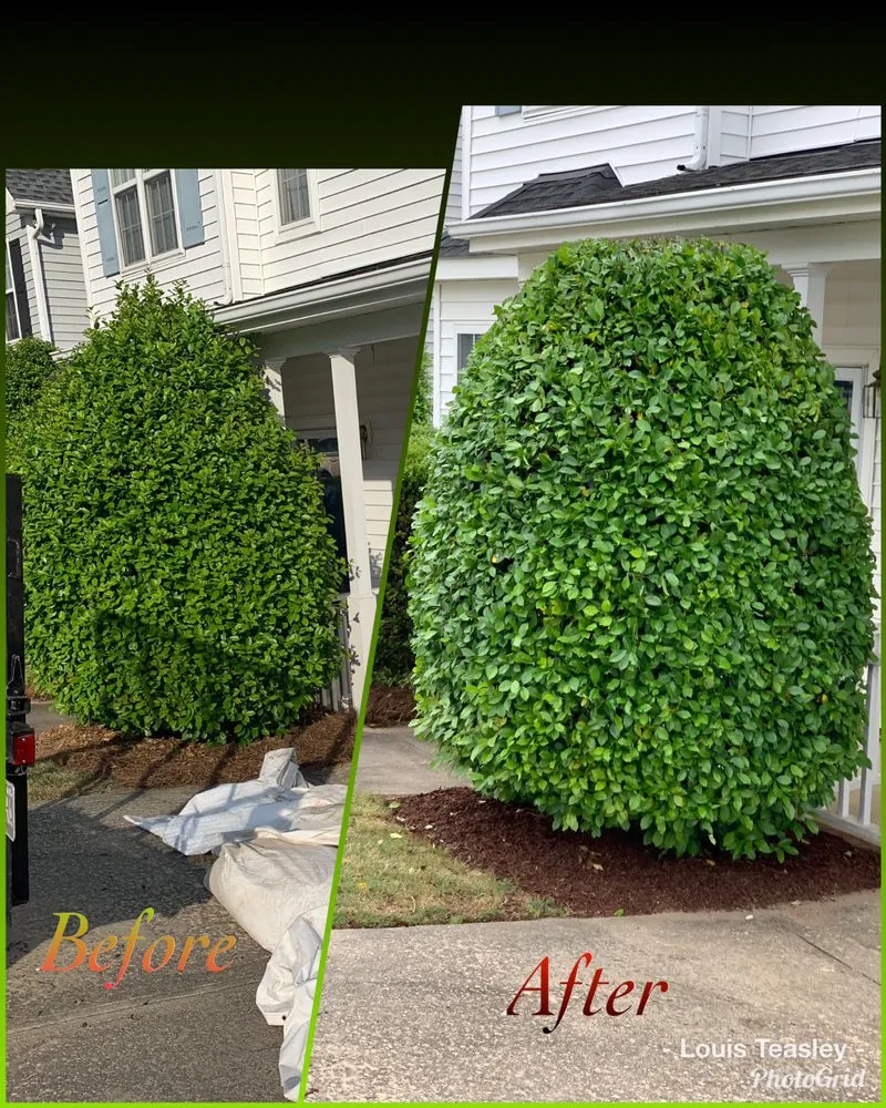 Custom landscape installation for homes in Raleigh, NC by Teasley Lawn Care Services