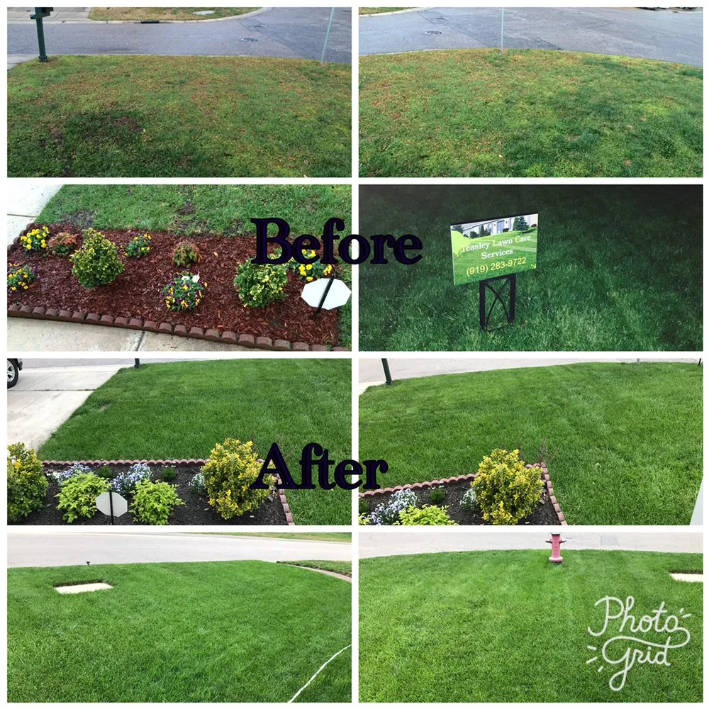 Affordable landscape design in Raleigh, NC by Teasley Lawn Care Services