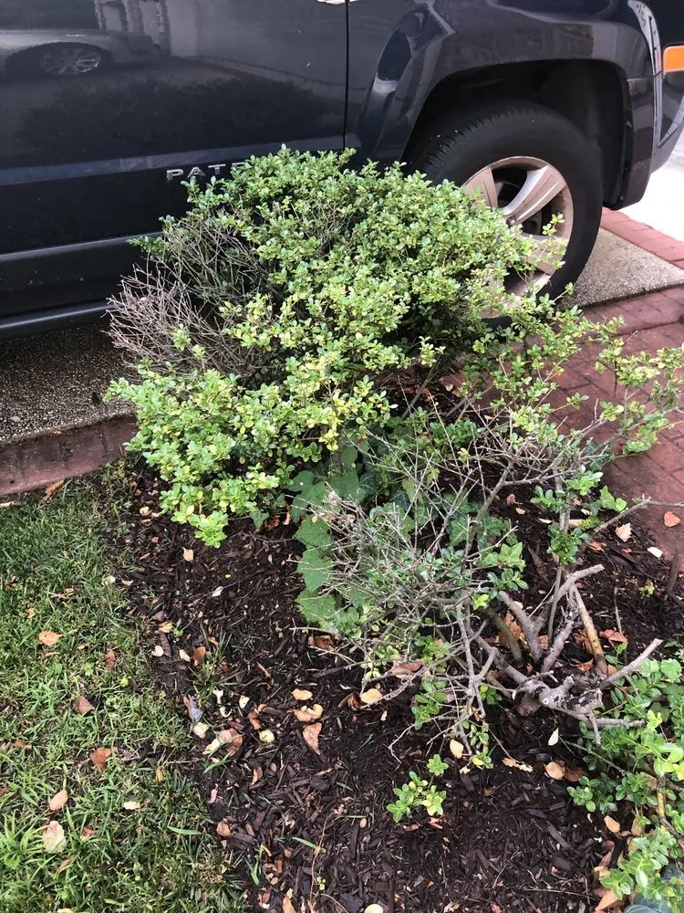 Professional landscape installation with custom design in Waldorf, MD by Teasley’s Lawncare & Services