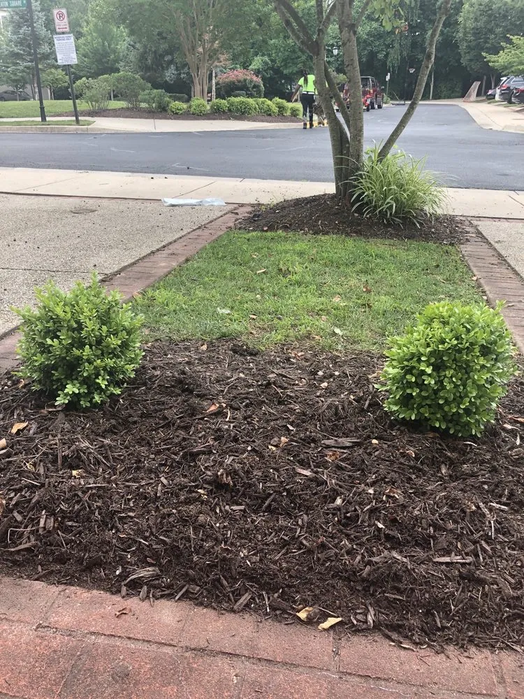 Top-rated outdoor landscaping in Waldorf, MD - Teasley’s Lawncare & Services