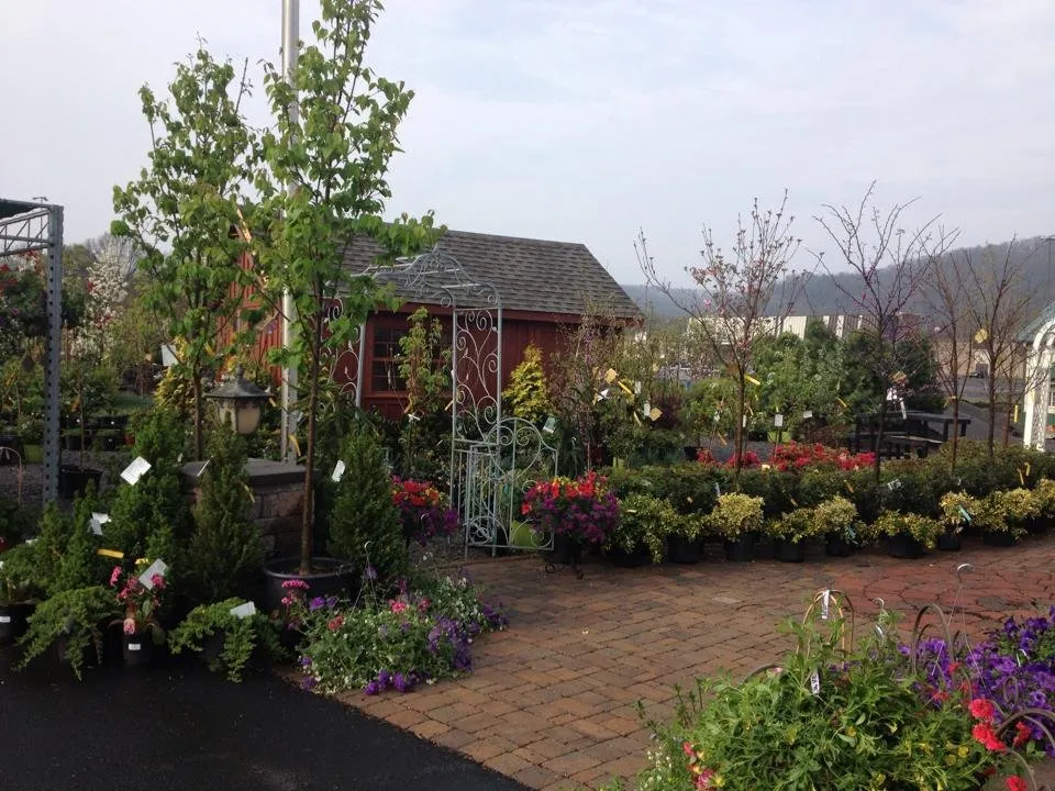 Professional landscape design in Williamsport, PA - Tebbs Bros Landscaping