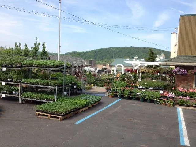 Affordable yard cleanup service in Williamsport, PA - Tebbs Bros Landscaping