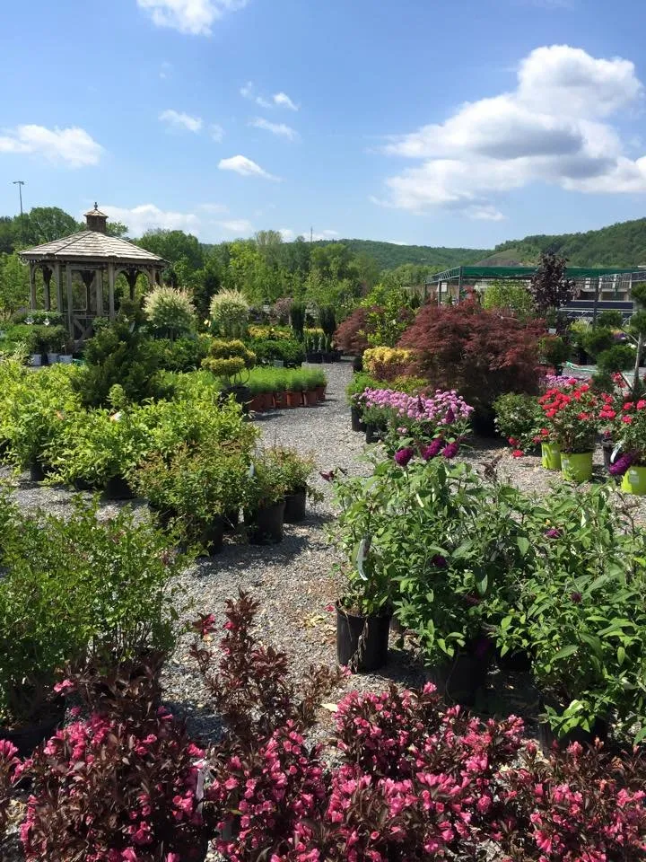 Affordable landscape design in Williamsport, PA - Tebbs Bros Landscaping