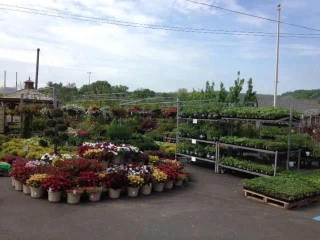 Expert yard cleanup service for residential properties in Williamsport, PA by Tebbs Bros Landscaping