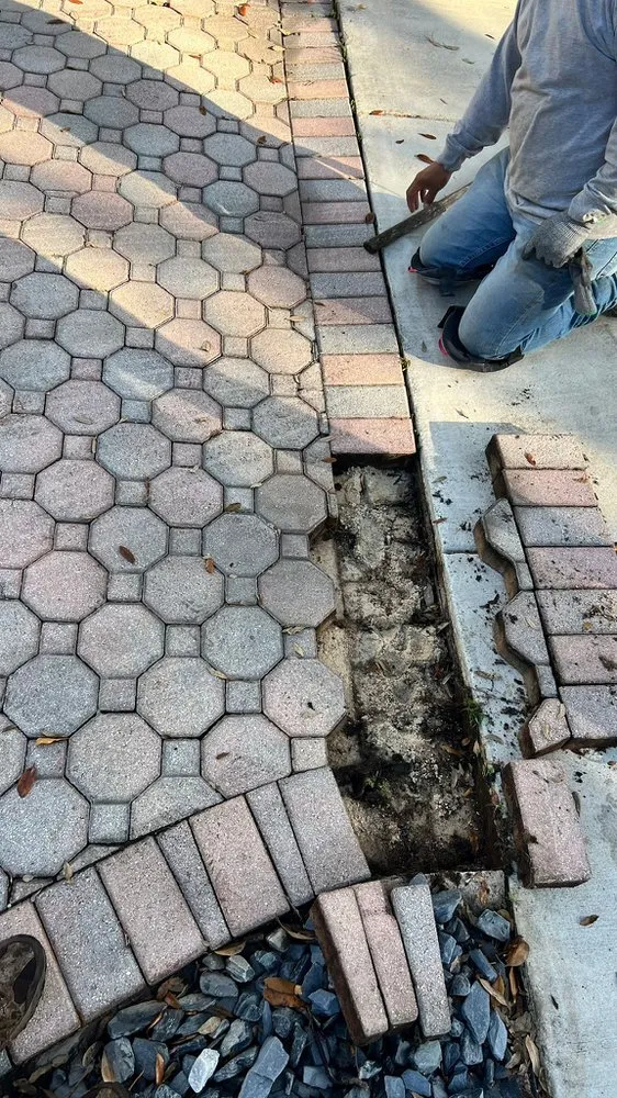 Custom garden landscaping experts serving Homestead, FL - Tebelanscaping