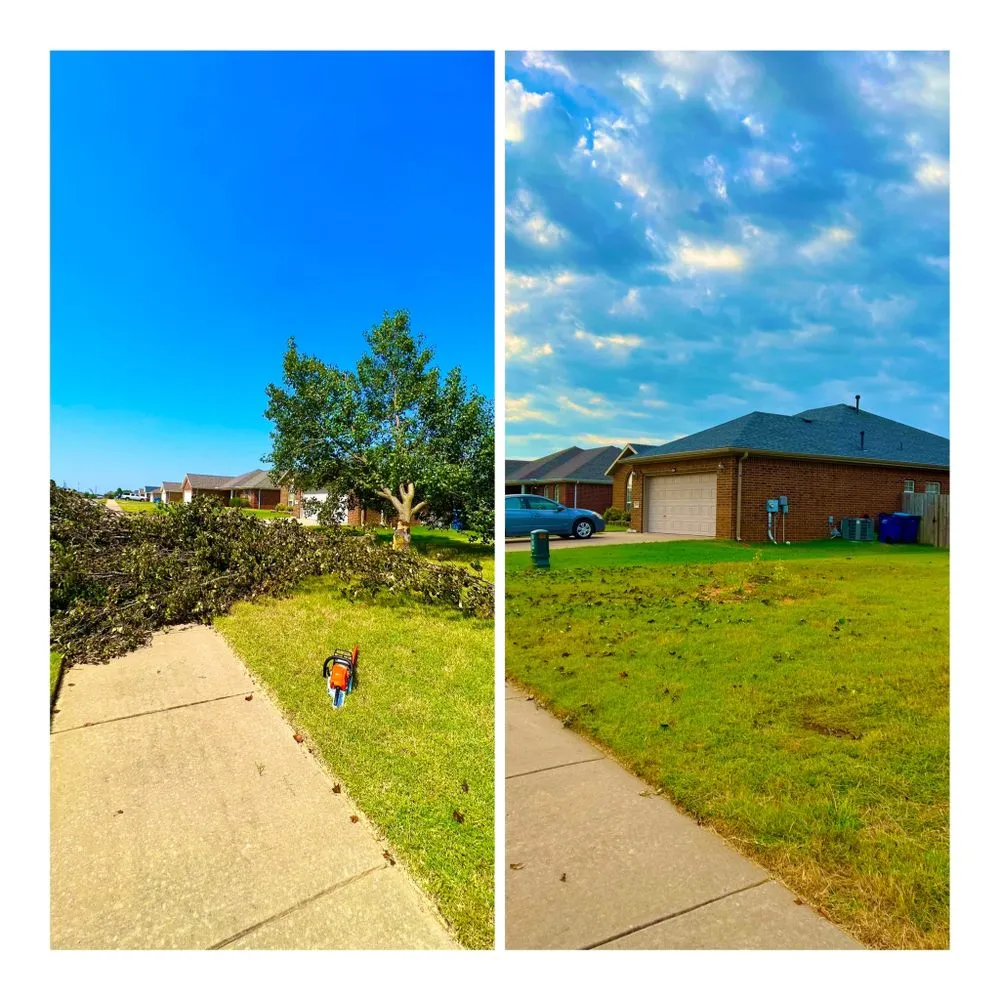 Trusted landscape installation for outdoor upgrades across Bentonville, AR - Tecal