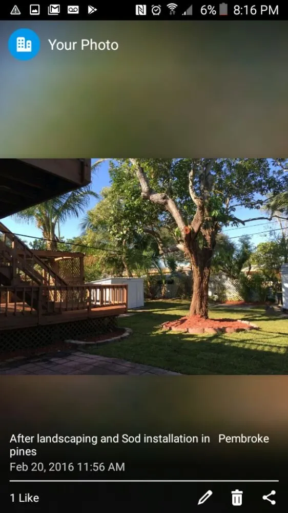 Reliable outdoor landscaping experts serving Miami, FL - Tech 1 Landscaping