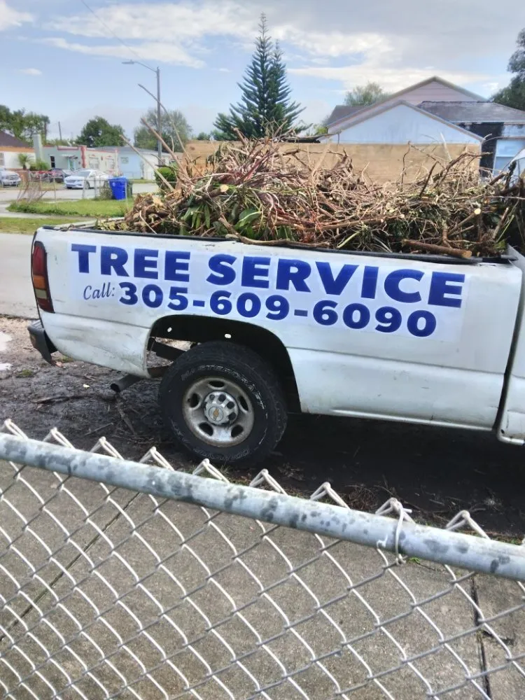 Expert yard cleanup service experts serving Miami, FL - Tech 1 Landscaping