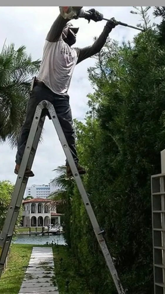 Expert landscaping services for beautiful yards across Miami, FL - Tech 1 Landscaping