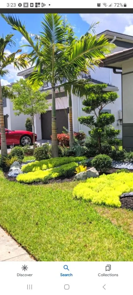 Professional yard maintenance in Miami, FL - Tech 1 Landscaping