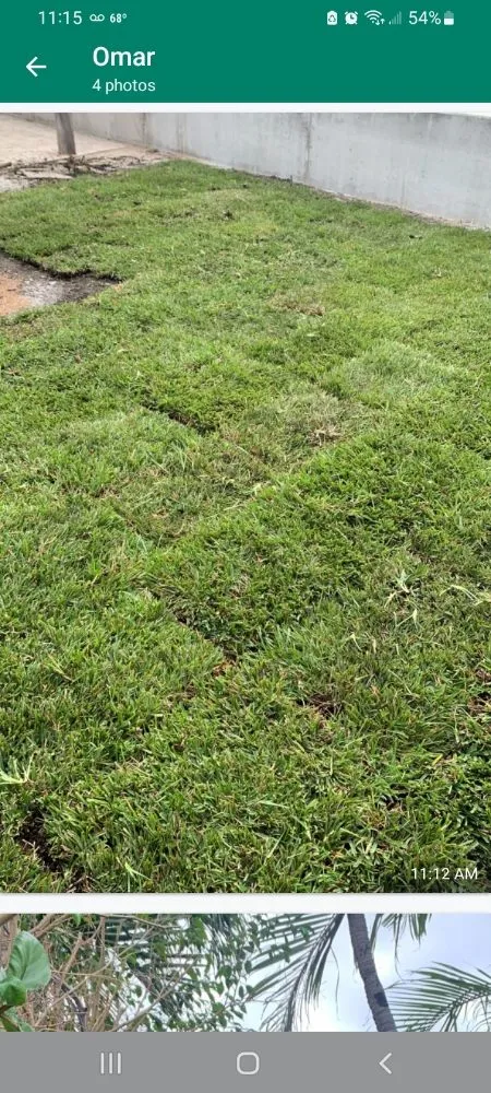 Top-rated lawn care service for outdoor upgrades in Miami, FL by Tech 1 Landscaping