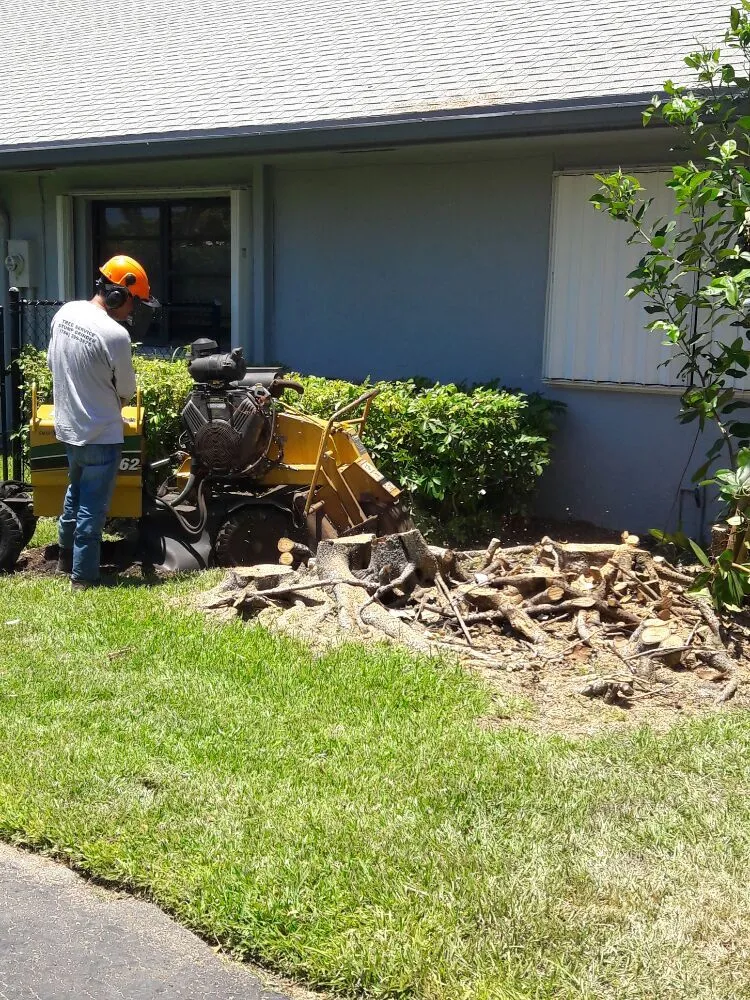 Affordable landscaping services for beautiful yards in Miami, FL by Tech 1 Landscaping