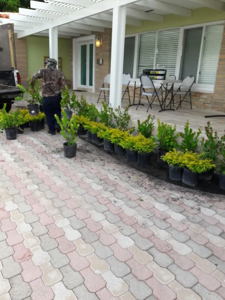 Professional landscape design for beautiful yards in Miami, FL by Tech 1 Landscaping