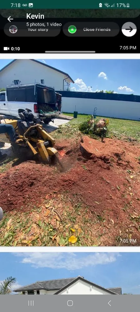 Top-rated lawn mowing service with custom design in Miami, FL by Tech 1 Landscaping