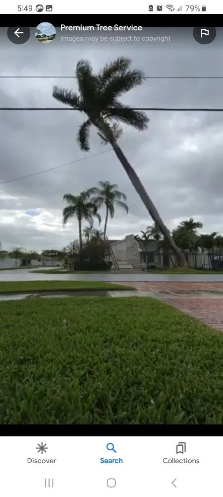 Reliable landscape design in Miami, FL by Tech 1 Landscaping