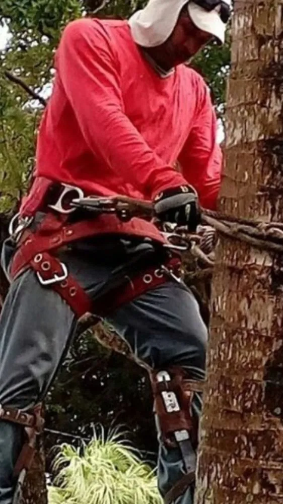 Expert landscaping services experts serving Miami, FL - Tech 1 Landscaping