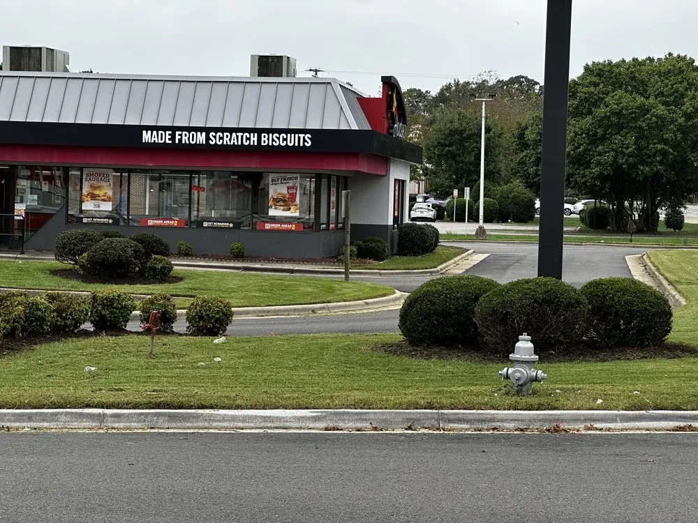 Top-rated residential landscaping in Chester, VA by Tech Clean Solutions