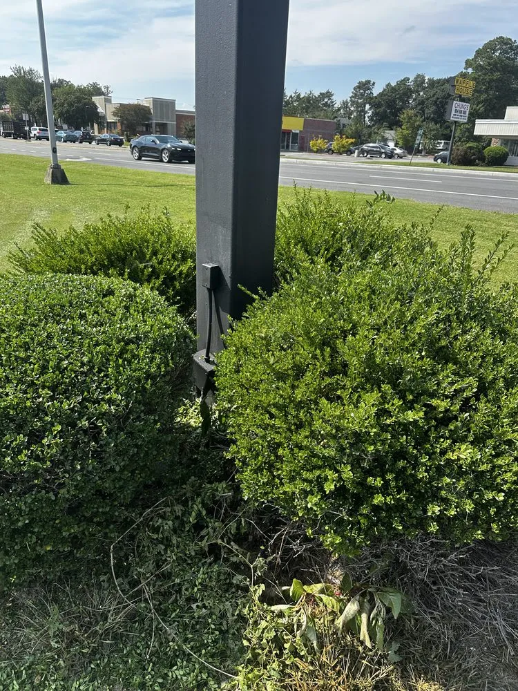 Trusted outdoor landscaping experts serving Chester, VA - Tech Clean Solutions