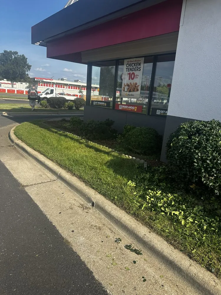 Professional outdoor landscaping experts serving Chester, VA - Tech Clean Solutions