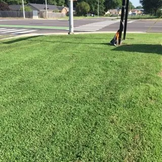 Reliable lawn mowing service for beautiful yards across Cordova, TN - Tech1 Lawn Care