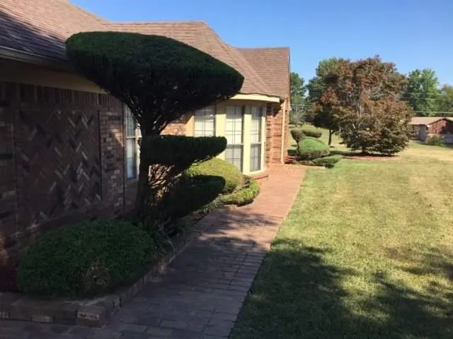 Expert lawn care service experts serving Cordova, TN - Tech1 Lawn Care