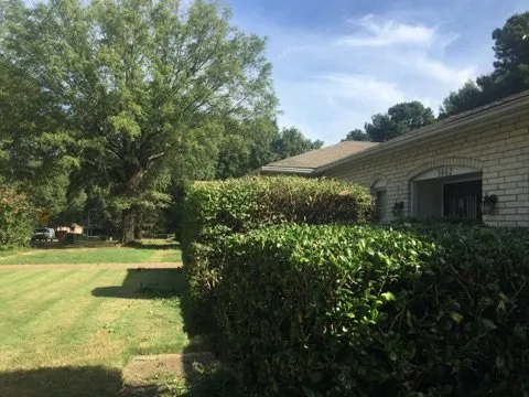 Affordable yard maintenance near you across Cordova, TN - Tech1 Lawn Care