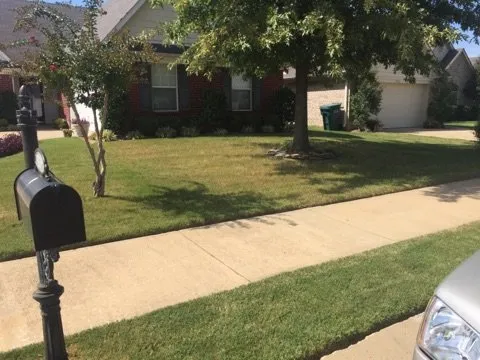Custom lawn care service experts serving Cordova, TN - Tech1 Lawn Care