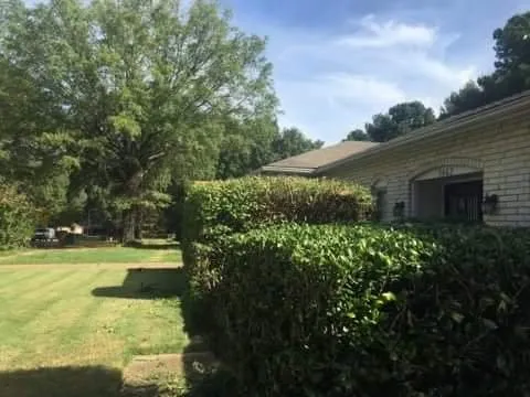 Affordable landscape installation for outdoor upgrades in Cordova, TN by Tech1 Lawn Care