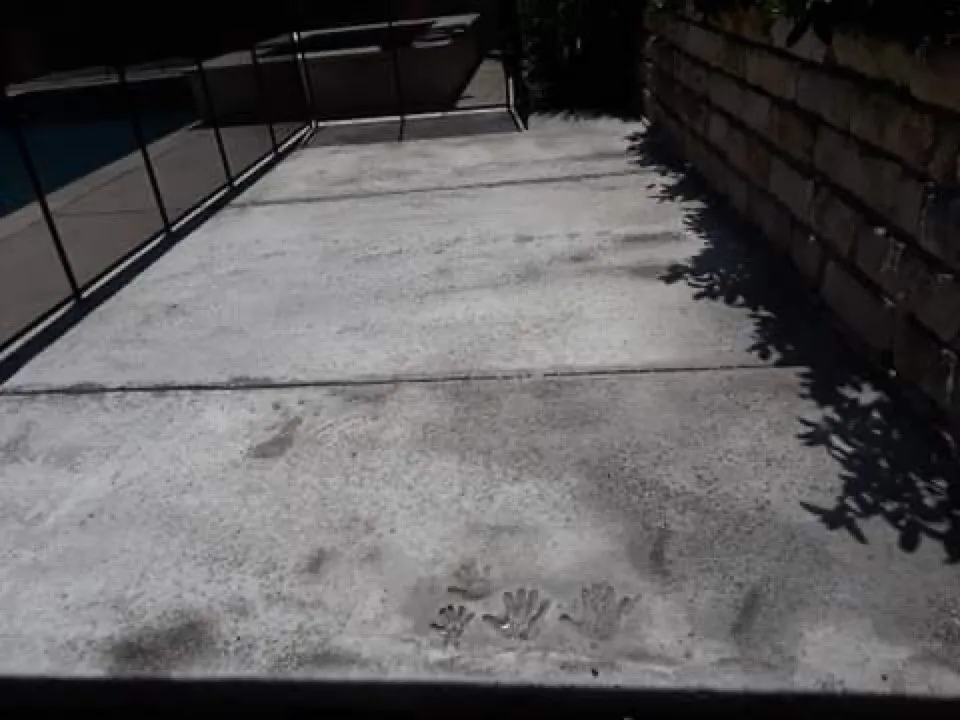 Top-rated garden landscaping experts serving Austin, TX - Techdrip