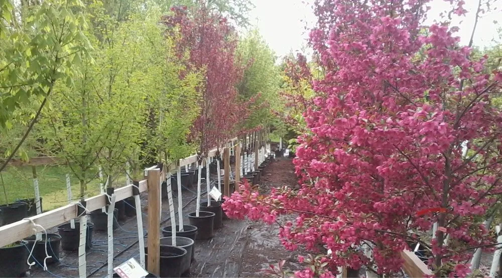 Custom outdoor landscaping for year-round maintenance in New Paltz, NY by Techmer Nursery