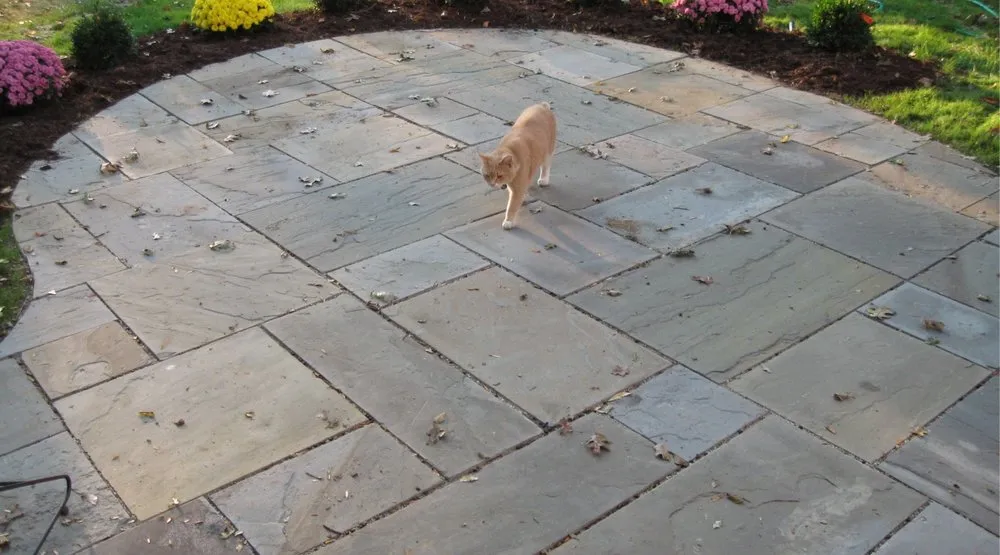 Expert yard maintenance for beautiful yards in New Paltz, NY by Techmer Nursery