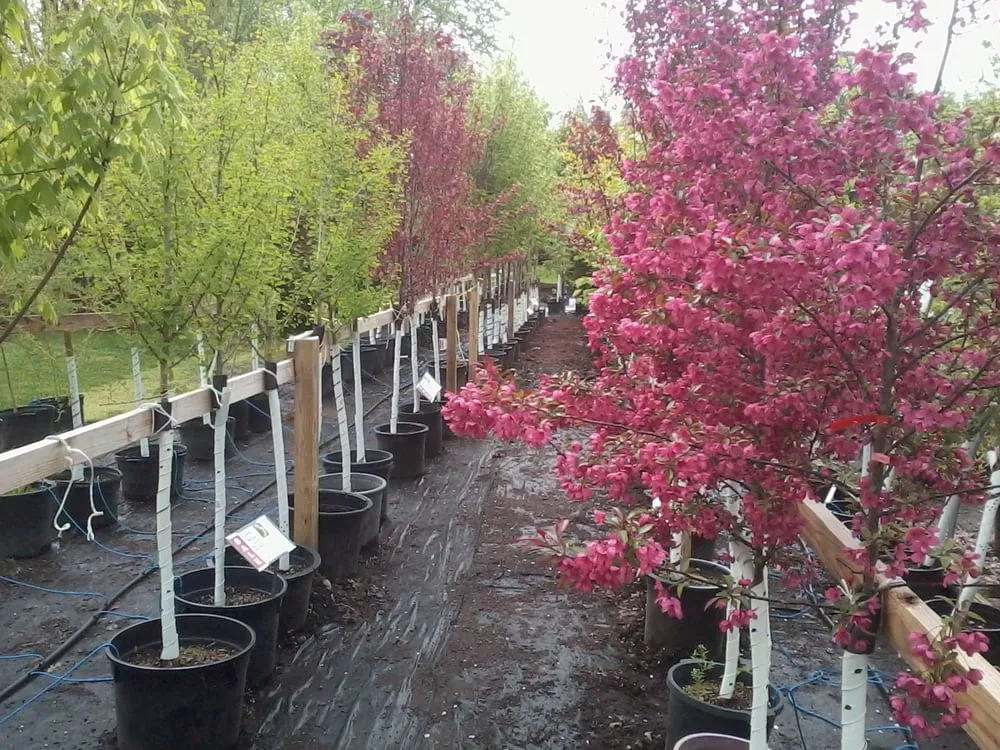 Professional lawn care service in New Paltz, NY by Techmer Nursery