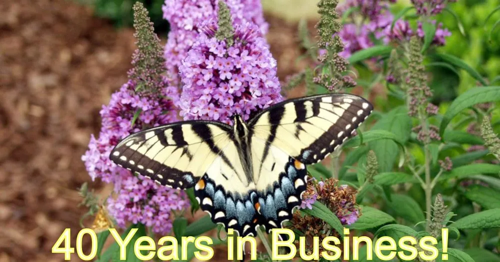 Affordable lawn mowing service experts serving New Paltz, NY - Techmer Nursery