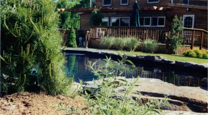 Custom yard maintenance for beautiful yards across New Paltz, NY - Techmer Nursery