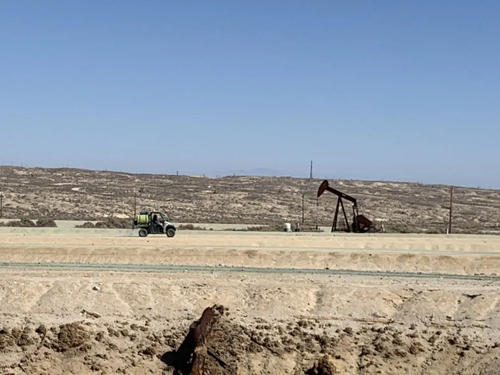 Trusted yard cleanup service experts serving Bakersfield, CA - Technical Spray Services